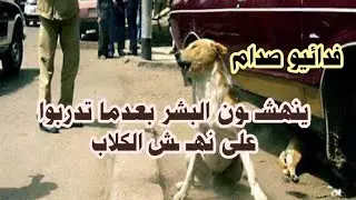 الفدائيـ ـون حوّلوا مدينة الطب الى مسـ ـلخ بشري