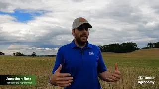 Slug Damage to Corn and Soybeans