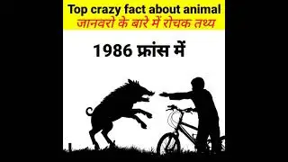 🐅Top {New} crazy fact about animal🐅| 🦏जानवरो के बारे में मजेदार रोचक तथ्य|🦏animalfact|randamfact|