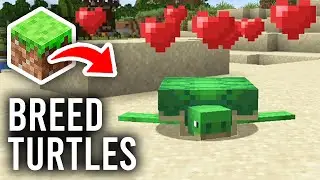 How To Breed Turtles In Minecraft - Full Guide