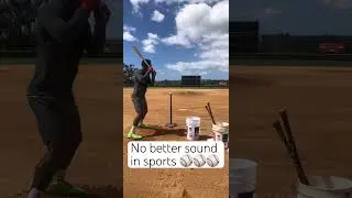 #apw #alwaysputnwork #mlb #baseball #woodbat #baseballlife #baseballplayer #softball #golf #cricket