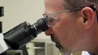Georgia Tech Renewable Bioproducts Institute