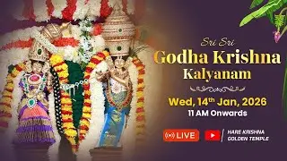 🔴 LIVE : Sri Sri Godha Krishna Kalyanam | Sankranti Special | Hare Krishna Golden Temple