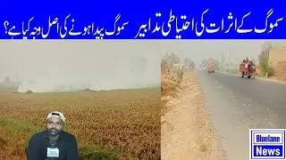 Precautions Against Smog | How to Smog Produced? | Bluelane News
