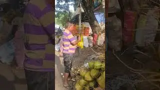 Fresh tender coconut water in Kerala 🥰|| Street food #shorts #youtubeshorts #short #trending #viral