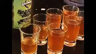 高酒精啤酒 》蛇毒啤酒  |  Brewmeister Beer Snake Venom