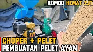 Uji Mesin Chopper + Pelet | Produksi Pakan Ayam Lebih Murah