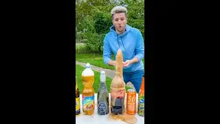 Cola Vanilla Mentos Challenge!