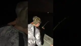 Skyway Fishing Pier Monster Goliath Grouper