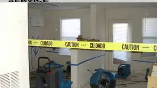 mold removal cost BIG INDIAN NY 12410   Professionals
