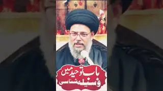 Важный момент объяснен в коротком видео | #ayatollahaqeelulgharavi #shiaknowledgehdtv #shorts
