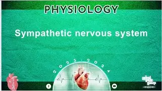 L 5,6 , Sympathetic supply to head, neck, thorax, abdomen and limbs , Physiology