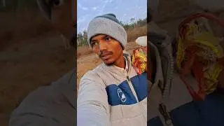 I took the cattle to pasture👀#dailylifestyle #dailyvlog