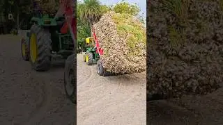 lasun ni kheti #aishorts #automobile #chorbazaar #chorbazarvlog