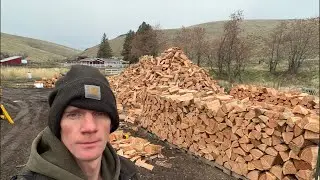 Time to stack 28 cord of 16 inch wood  live