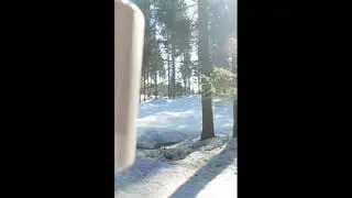 Flying a drone in the woods