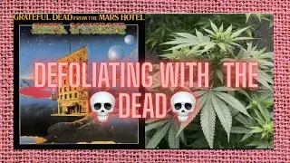 Grateful grower