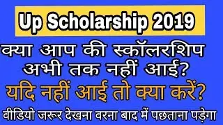 Up scholarship 2018-19 ||  2019 की स्कॉलरशिप आप के खाते में कब तक आएगी