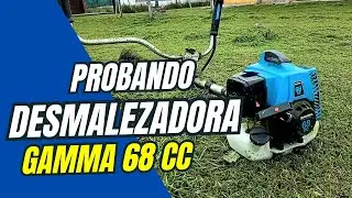 PROBANDO DESMALEZADORA GAMMA 68 CC