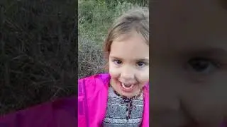 The forest adventure!!!