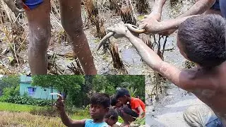 Traditional Hand Fish and Eel Fishing By Village Boys Fantastic Fishing Video