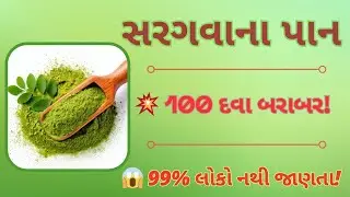 સરગવાના પાનના ચમત્કારી ફાયદા | Moringa Leaves Benefits in Gujarati