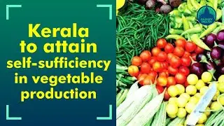 Government projects improve vegetable production; still prices are not falling&hellip;