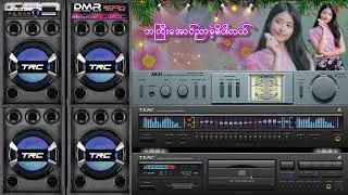 ဘကြီးအောင်ညာခဲ့မိပါတယ်