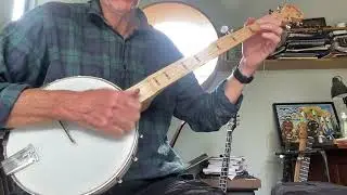 GOODTIME FRETLESS AND SCOOPED OPENBACK BANJO