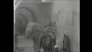 فيلم تاريخي نادر لقبيلة الروله - 1931م