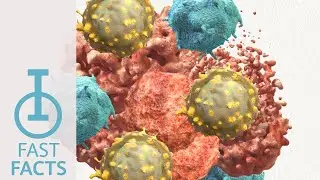 IOU YouTube: What is the potential of Immuno-Oncology research?