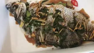 Steam Fish