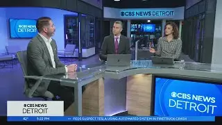Michigan marijuana grower, distributor Skymint under receivership