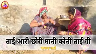 ताई आरी छौरी मानी कोनी ताई गी || देख लौ छोरो हरियाणवी राजस्थानी कोमेडी || धाकड ताई की कॉमेडी