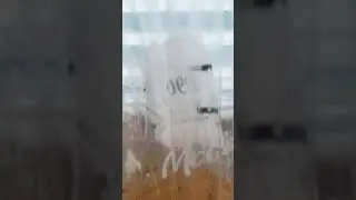 My Gnat Trap 09292019