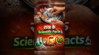 🤔😱राख के Scientific Facts 🔬 | Ash Science Explained #facts #viral #ytshorts #shorts #shortsfeed