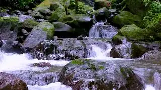 Relax and Unwind with Mountain River Flowing Sounds, Natural Water White Noise