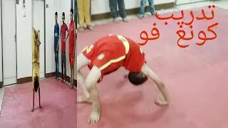 تدريب  كونغ فو  للمبتدئين فريق المجابرة