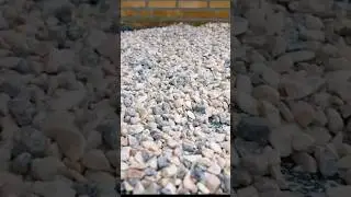 Decora tu jard&iacute;n con las piedras blancas 🤍 #jardineria #jardin #garden