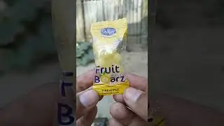 Fruit candy panda shape II chocolate review video II asmr video II satisfying video # shorts