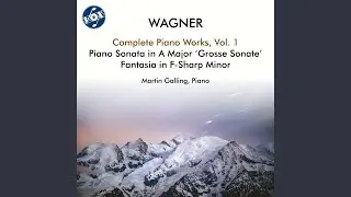 Fantasia in F-Sharp Minor, WWV 22: Recitativo - Pi&ugrave; lento - Allegro agitato