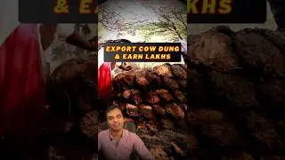 Gobar export kar ke Crorepati! Cow Dung Export Business. #gobar #newbusinessideas