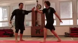 SSBD Seminar Germany July 2013 with Maul Mornie