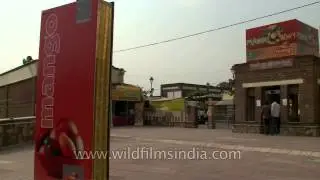 25th Mango festival at Dilli haat of Pitampura