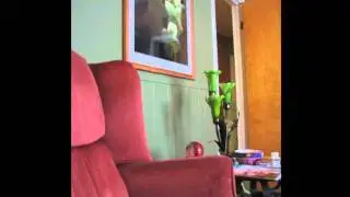 Empire Therapeutic Massage Center Large
