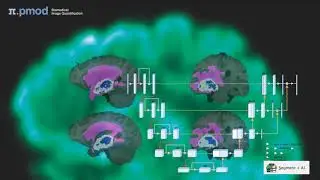PAI Artificial Intelligence Framework (Overview)