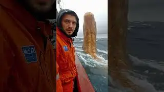 Морской червь вынырнул у корабля на глазах моряков