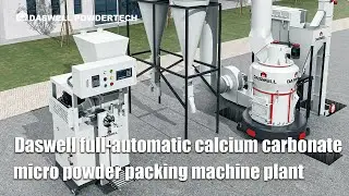 Daswell full automatic calcium&nbsp;carbonate micro powder packing machine plant