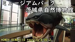 【HONDA BENLY110 touring #100 2】ミュージアムパーク茨城県自然博物館