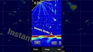 💥Live Scope Instant Zander Strike 💥